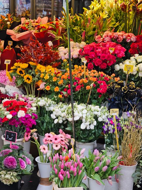 A vibrant array of fresh flowers displayed at a florist shop, including pink and purple tulips in the foreground in a white pot, alongside clusters of white and pink daisies, and a variety of colorful