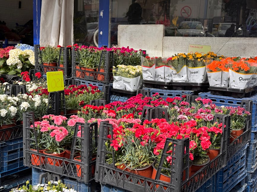 Outside flower shop display featuring a variety of fresh flowers in terracotta pots arranged in black plastic crates. The selection includes vibrant pink, red, white, yellow, and orange blooms such as