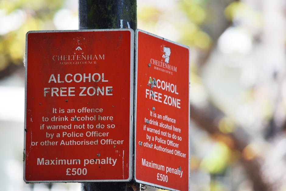 A close-up of two red metal signs attached to a black pole, displaying the 'Alcohol Free Zone' message for Cheltenham, with white text indicating that drinking alcohol in this area is prohibited and t