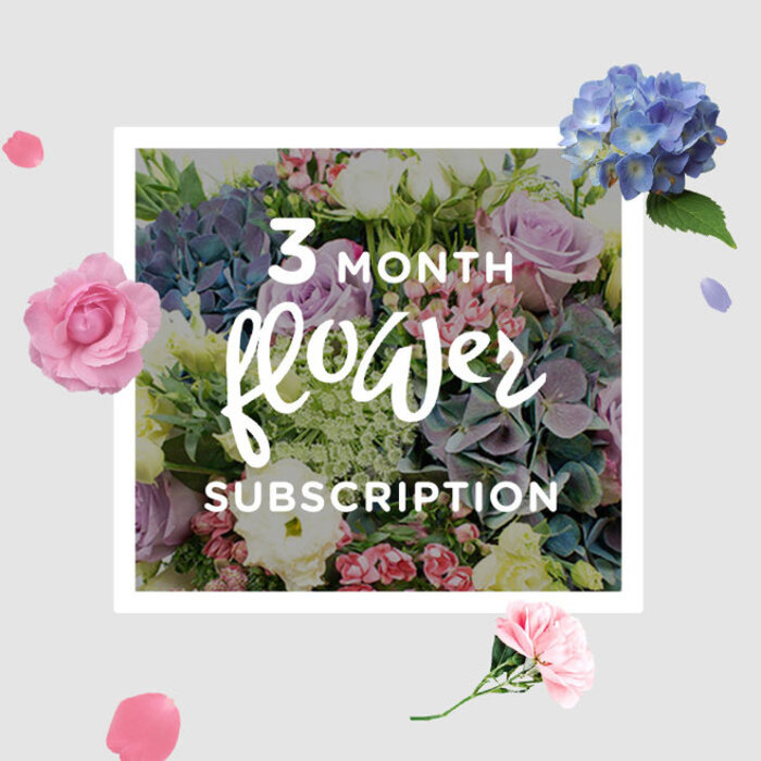 This image portrays an elegant bouquet from a three-month subscription, styled as if it has just been set down in a light-filled Stepney flat after a morning delivery. The composition feels like a tapestry of soft hues: purples, blush pinks, and creamy whites blending smoothly into the cool greens of fresh foliage. Generous hydrangea heads in pale to mid blue create a rounded, cloud-like base, each cluster of petals forming a soft cushion for the other blooms. Rising from this base, lisianthus stems stand more slender, their buds and open flowers in lilac and white adding vertical interest and a touch of gentle movement, much like the sway of plants in a sheltered corner of Stepney City Farm. Garden-style roses, some in lavender, others in a tender blush, sprawl slightly beyond the main shape, their outer petals curling loosely to hint at a romantic, just-picked charm. Natural light glides across the bouquet from one side, illuminating the pastel tones and casting soft shadows that enhance the layered textures of the petals and leaves. The greenery varies from smooth, oval leaves to more elongated stems, echoing the look of a carefully tended backyard garden behind a terraced house off Mile End Road. There is a sense of quiet joy and everyday luxury here, as if the bouquet is meant to greet you each month on the dining table or hallway console, marking time in petals rather than dates. Over three months, each delivery would bring its own variation on this theme of renewal, keeping a Stepney home feeling fresh, fragrant, and gently uplifted throughout the changing weeks.
