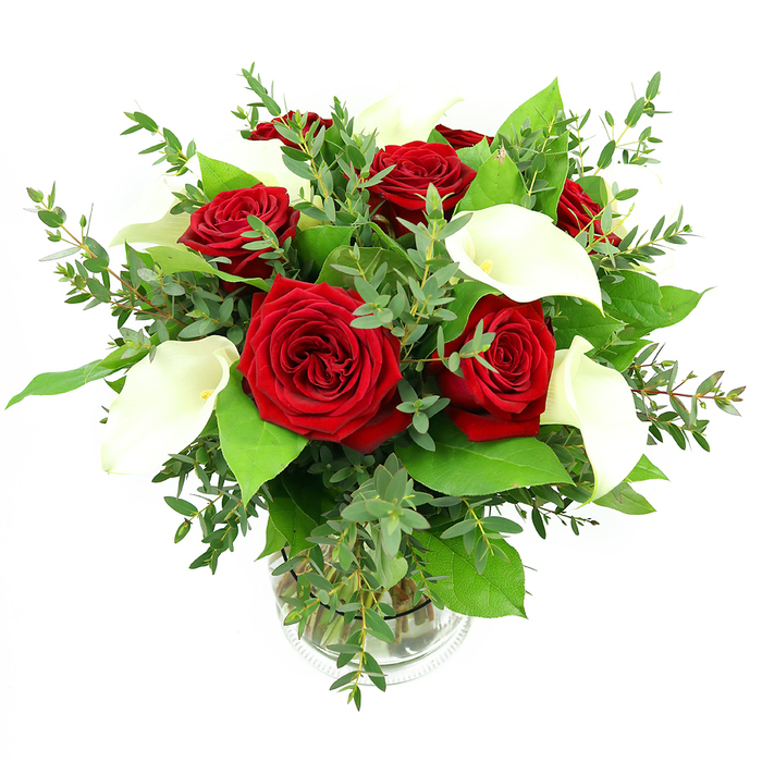 This photograph shows a classic yet stylish floral arrangement composed primarily of deep red roses and white calla lilies, carefully set into a clear cylindrical glass vase and placed against a bright white background that lets every nuance of colour and texture come forward. At the centre, several fully opened red roses - around six or seven - display their layered, velvety petals in tight spirals, each bloom saturated with an intense crimson shade that calls to mind romantic evenings and heartfelt gestures across Stepney and nearby Whitechapel. Nestled among the roses, four or five pristine white calla lilies rise elegantly, their trumpet-shaped spathes curling in smooth, creamy arcs and exposing a slender yellowish-orange spadix at the heart of each flower. The lilies' sleek, waxy surfaces catch the light beautifully, adding a chic, modern edge to the more traditional look of the roses. Framing these feature blooms is an assortment of lush foliage: airy stems of eucalyptus with small, rounded, silvery-green leaves weave through the arrangement, lending a soft, slightly rustic texture, while broader, deeper green leaves create a dense, verdant base that supports and surrounds the flowers. The stems are neatly gathered and visible through the transparent vase, submerged in clear water that sparkles under the illumination and subtly magnifies the natural markings on each stem. The lighting is bright and even, reminiscent of a sunlit studio near Stepney High Street, enhancing the vivid reds, cool greens, and crisp whites so they appear fresh and full of life. The mood of the bouquet is celebratory yet refined, making it an ideal floral choice for anniversaries, Valentine's Day surprises delivered across Stepney, or simply as an elegant centrepiece to bring a touch of romance and sophistication into any home.